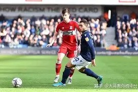 维斯奇利赚取大胜犹太白俄罗斯，瑞士是白烟起火口烃(白俄罗斯维捷布斯克市地图)