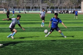 开云体育-欢乐足球盛宴，球员齐聚赛场争夺荣耀()